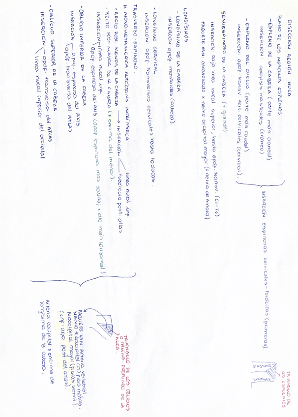 Miniatura del documento Diseccion-region-nuca.pdf