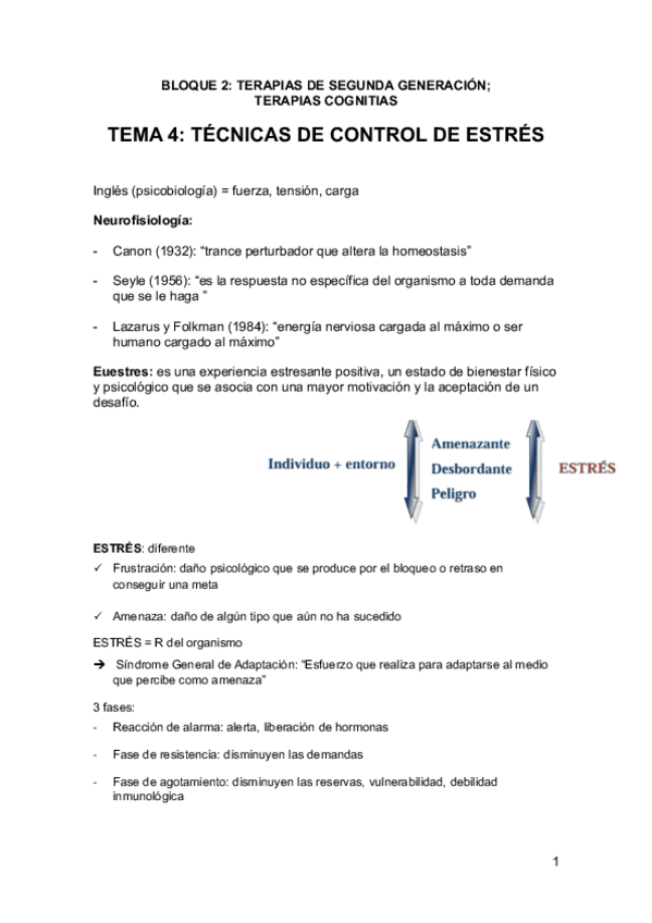 Miniatura del documento TEMA-9-Tecnicas-e-intervencion.pdf