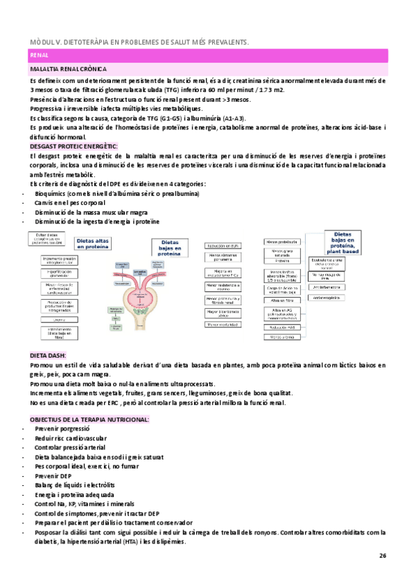 Miniatura del documento MODUL-V-nutri-4.Renal.pdf