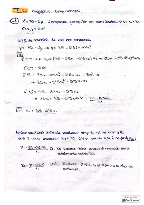Miniatura del documento ejercicios-tema-6-micro.pdf