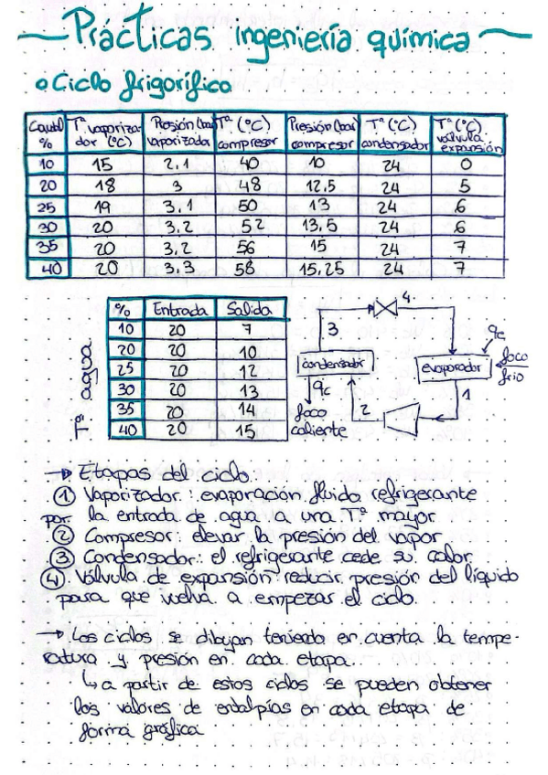 Miniatura del documento PracticasIQ.pdf
