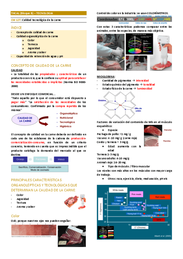 Miniatura del documento T-Bloque-B.pdf