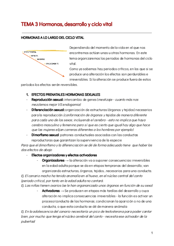 Miniatura del documento TEMA-3-Hormonas-desarrollo-y-ciclo-vital-5.pdf