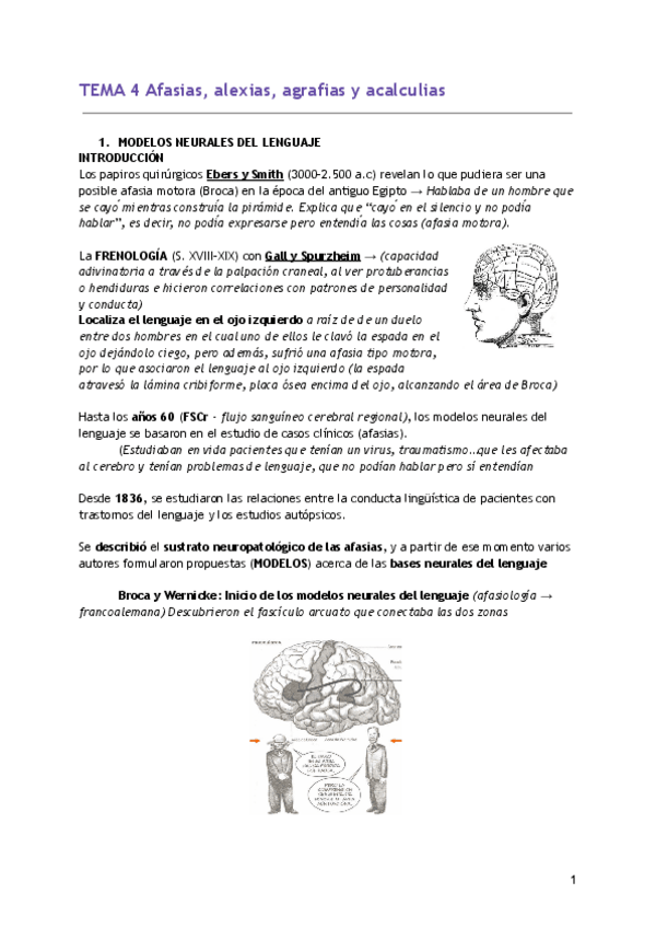 Miniatura del documento TEMA-4-Afasias-alexias-agrafias-y-acalculias.pdf