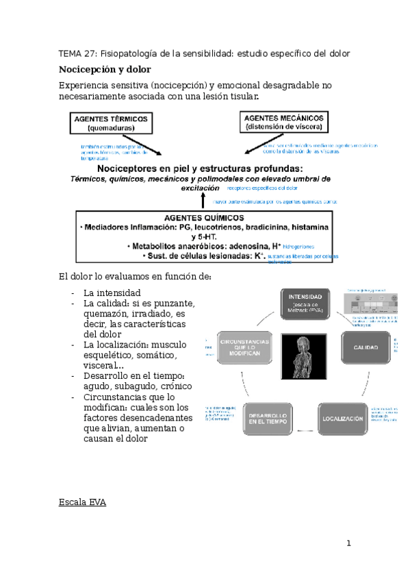 Miniatura del documento Fisiopatologia-2.docx