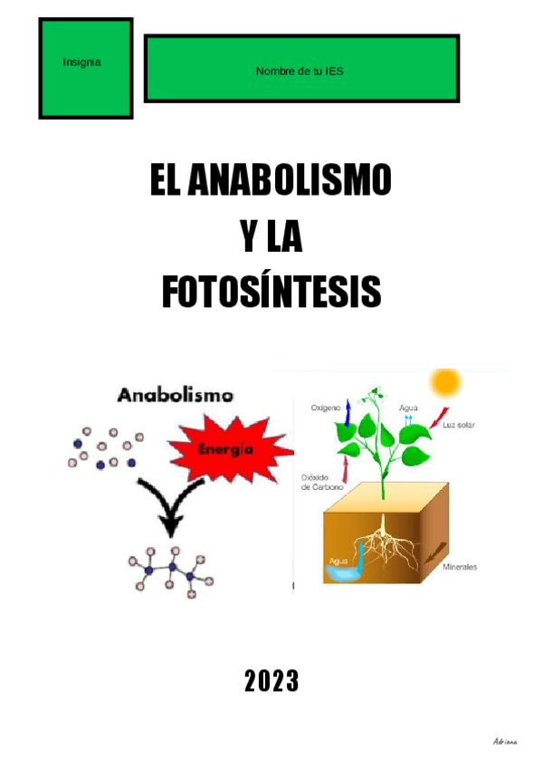 Miniatura del documento METABOLISMO.pdf