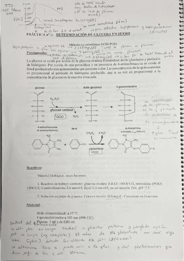 Miniatura del documento Guia-practicas-completa.pdf