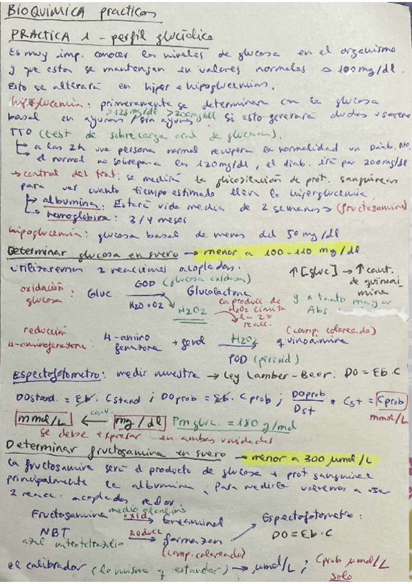 Miniatura del documento Resumenes-practicas.pdf