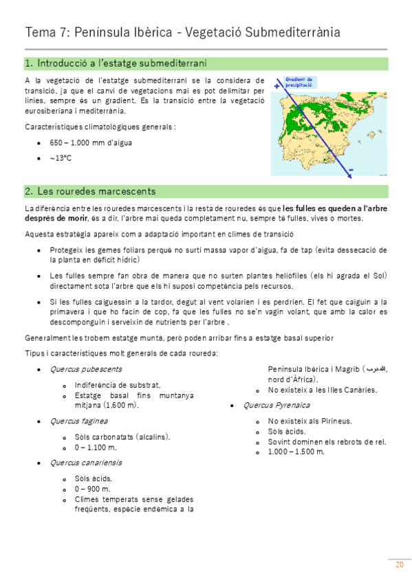 Miniatura del documento 2on-parcial-ACV-capitol-7.pdf