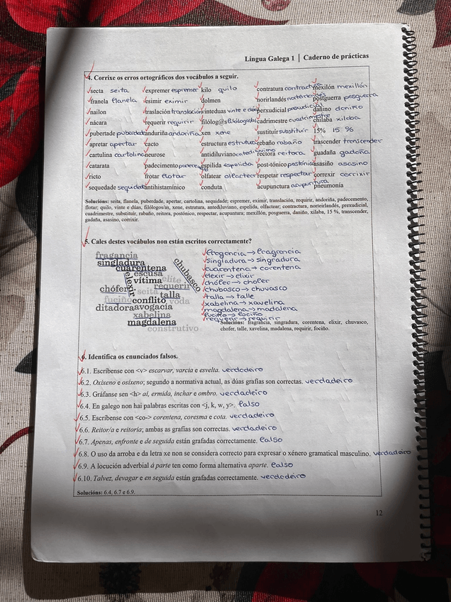 Miniatura del documento Reforzo.JPG