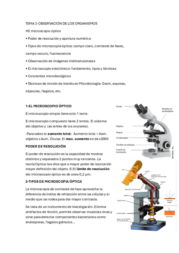 Miniatura del documento Tema-3-Microbiologia.pdf