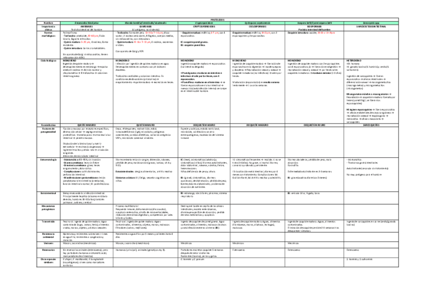 Miniatura del documento Tablas-Resumen-de-Parasitos.pdf