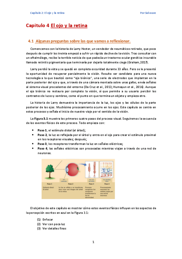 Miniatura del documento tema-2-El-ojo-y-la-retina.pdf