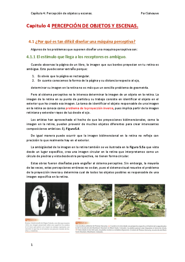 Miniatura del documento TEMA-4-PERCEPCION-DE-OBJETOS-Y-ESCENAS.pdf