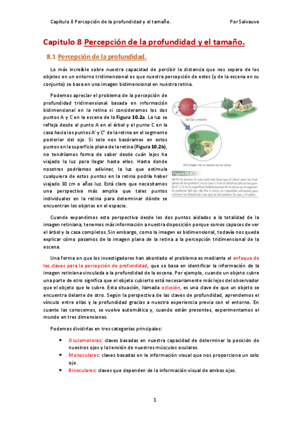 Miniatura del documento Tema-8-Percepcion-de-la-profundidad-y-el-tamano.pdf