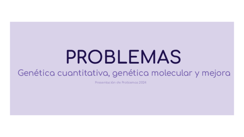 Miniatura del documento Pesentacion-de-Problemas-Resueltos-2024-Problemas-tipo.pdf
