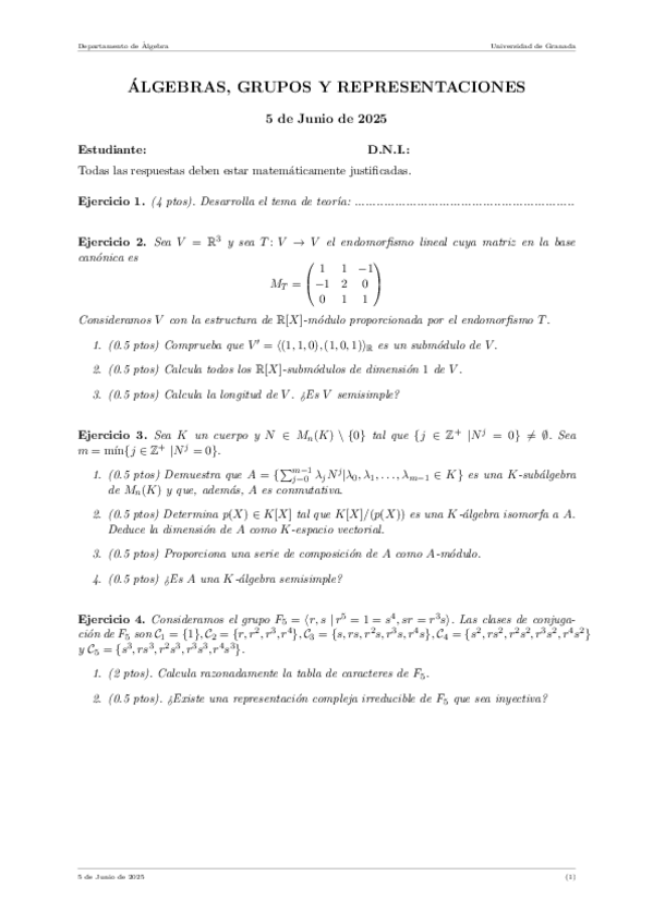 Miniatura del documento Ex.Junio(2025).pdf