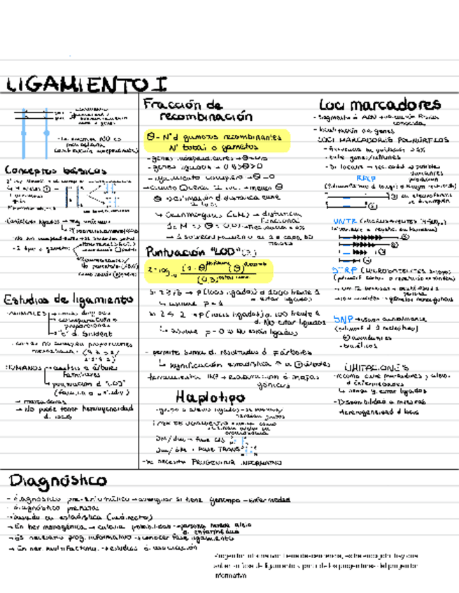 Miniatura del documento Ligamiento.pdf