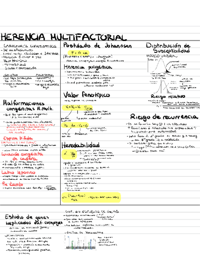 Miniatura del documento HerenciaMultifactorialYPoblaciones.pdf