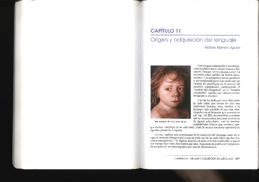 Miniatura del documento TEMA-1-Origen-y-adquisicion-del-lenguaje.pdf