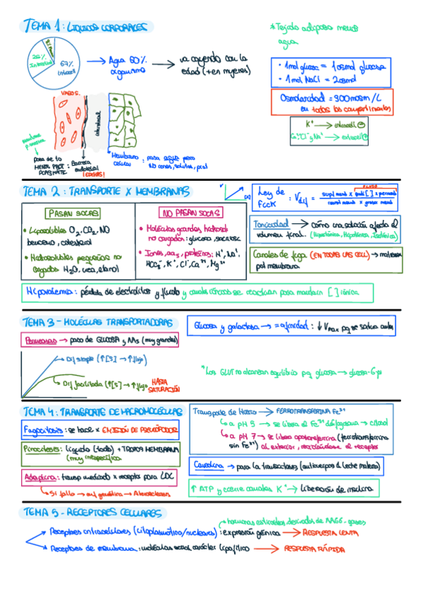 Miniatura del documento CONCEPTOS-IMPORTANTES-DE-CADA-TEMA.pdf
