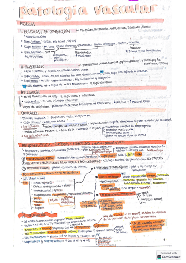 Miniatura del documento esquemas segundo parcial.pdf