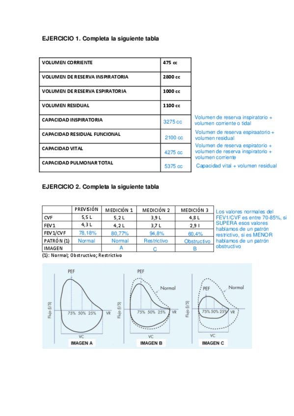 Miniatura del documento EJERCICIOS-REGISTROS-RESPIRATORIO.pdf