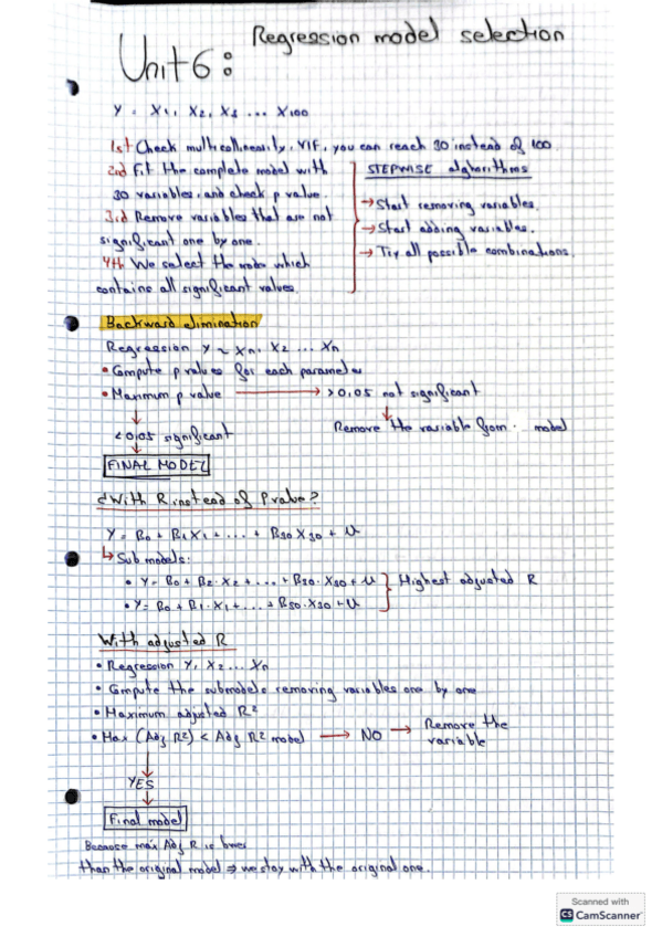 Miniatura del documento Class-notes-Unit-6-Econometrics.pdf