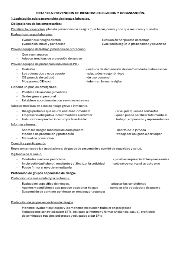 Miniatura del documento TEMA-10-LA-PREVENCION-DE-RIESGOS-2.pdf