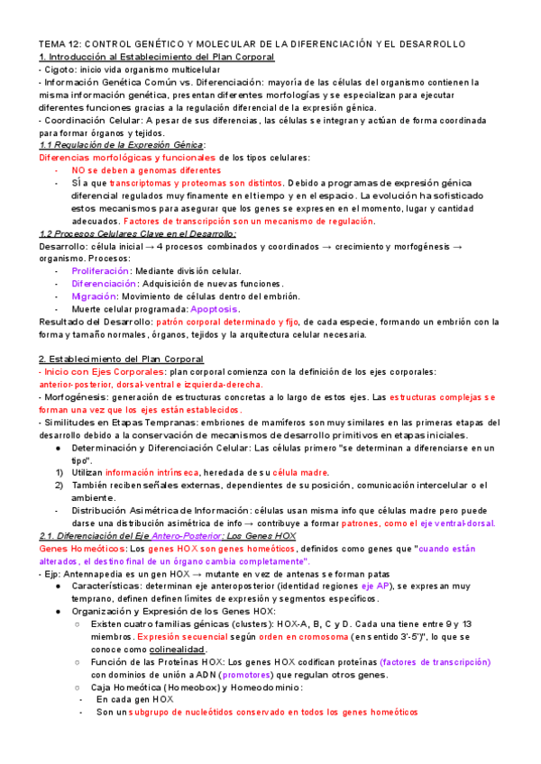 Miniatura del documento TEMA-12-CONTROL-GENETICO-Y-MOLECULAR-DE-LA-DIFERENCIACION-Y-EL-DESARROLLO.pdf