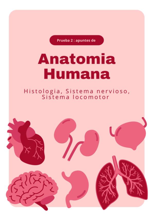 Miniatura del documento Histologia-sistema-nerviososistema-locomotor.pdf
