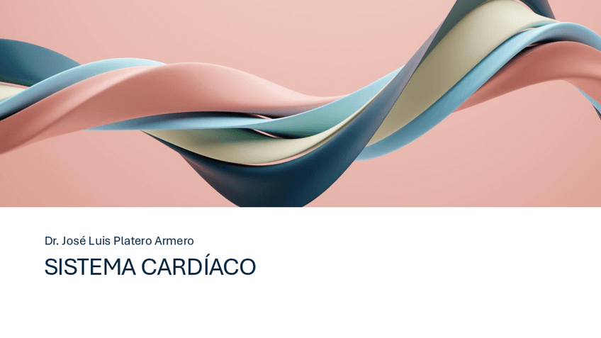 Miniatura del documento CUIDADOSCARDIOLOGIA.pdf