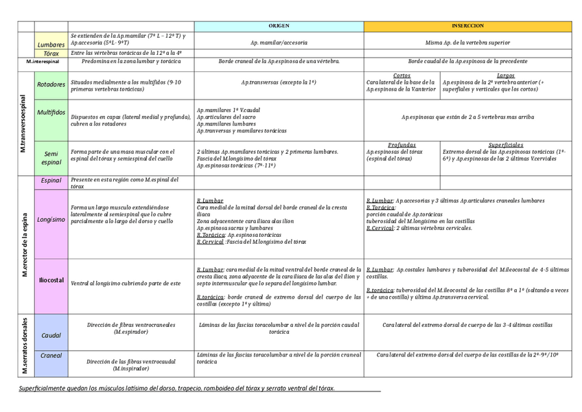 Miniatura del documento Anatomia.pdf