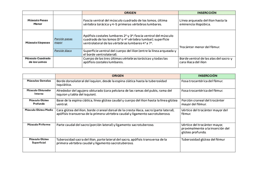 Miniatura del documento anato-musculo-2.pdf