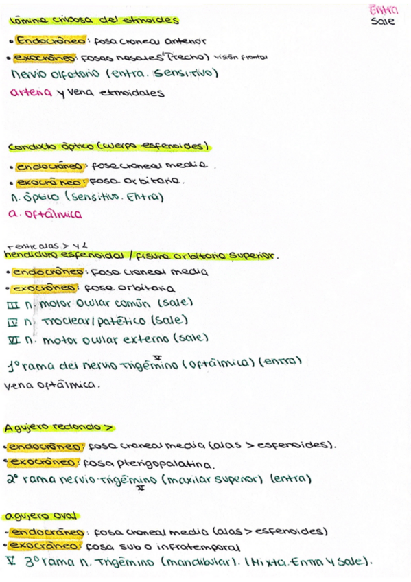 Miniatura del documento Dibujo-huesos-anato-practico.pdf