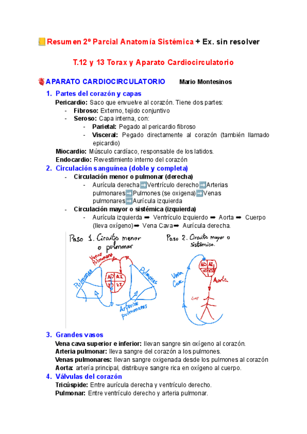Miniatura del documento Resumen-2o-Parcial-Anatomia-Sistemica.pdf