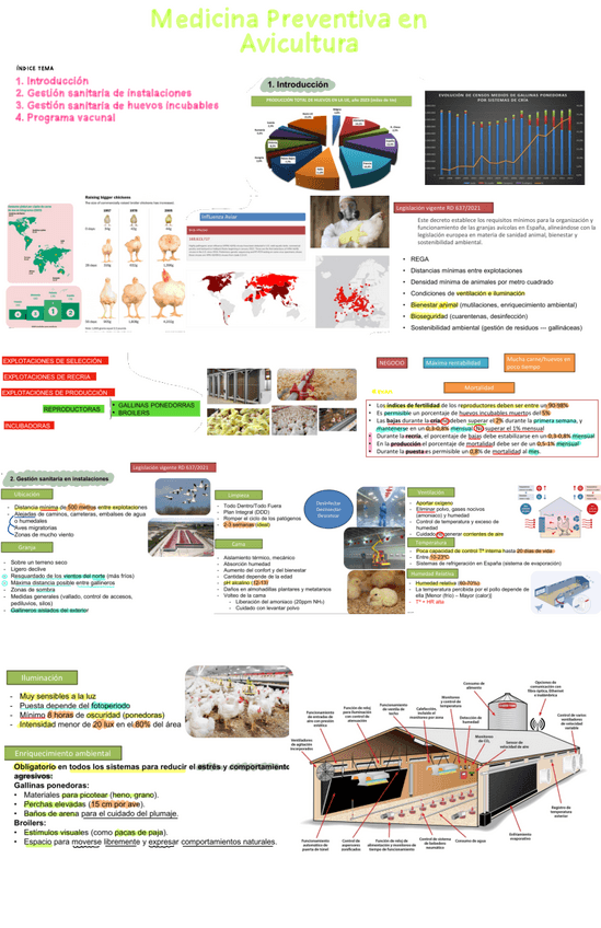 Miniatura del documento MP-AVICULTURA.pdf