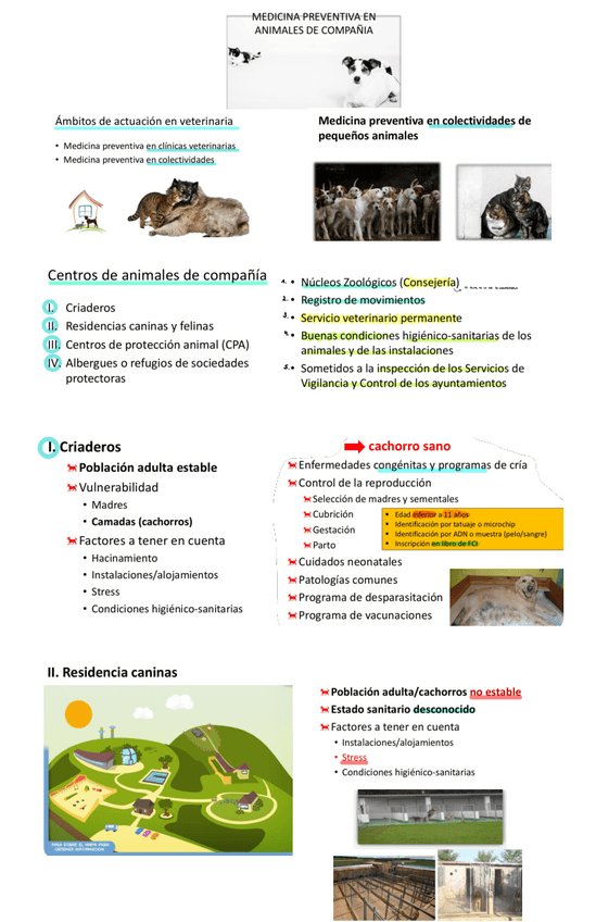 Miniatura del documento Mp-Perro-Y-Gato.pdf