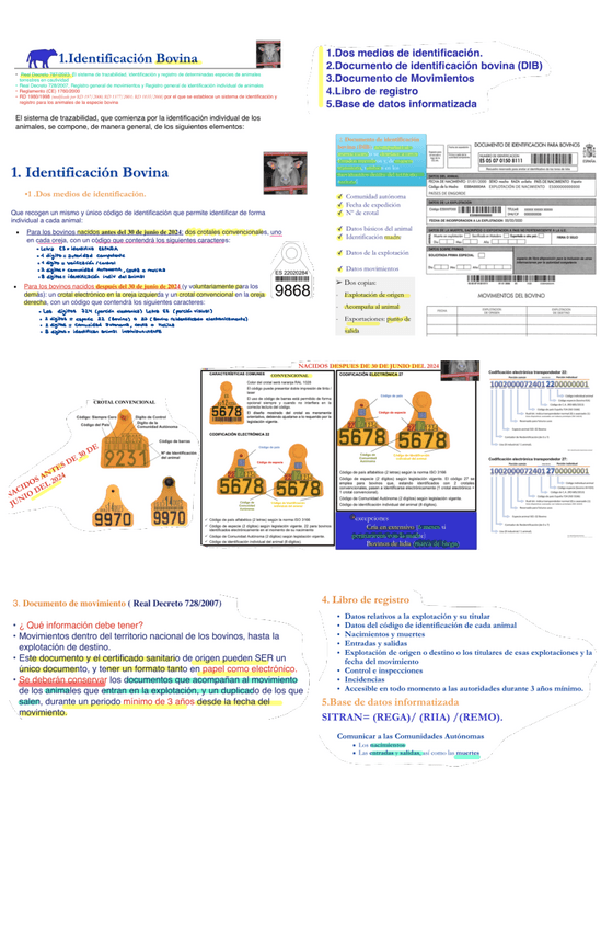 Miniatura del documento T7.pdf