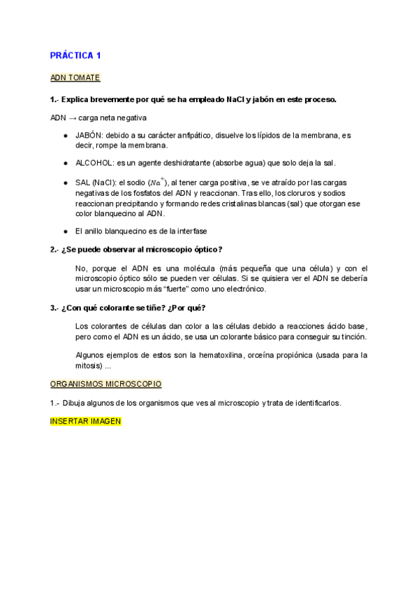 Miniatura del documento Preguntas-practicas-biologia.pdf