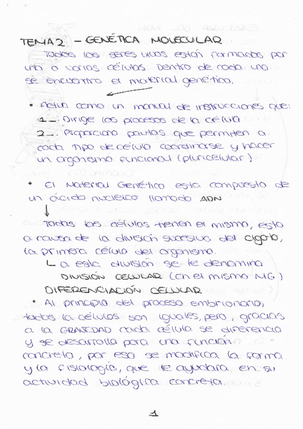 Miniatura del documento GENETICA-MOLECULAR-Y-PROCESOS-DEL-ADN-BIOLGIA-4o-ESO.pdf