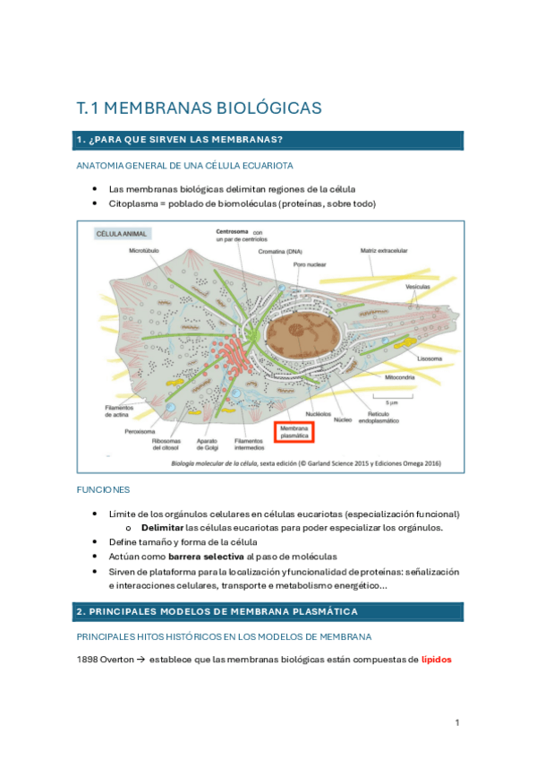 Miniatura del documento tema-1.pdf