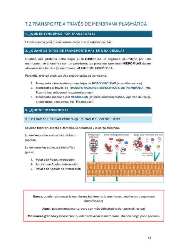 Miniatura del documento tema-2.pdf
