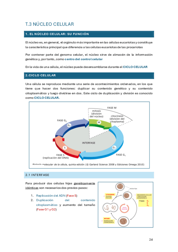 Miniatura del documento tema-3.pdf