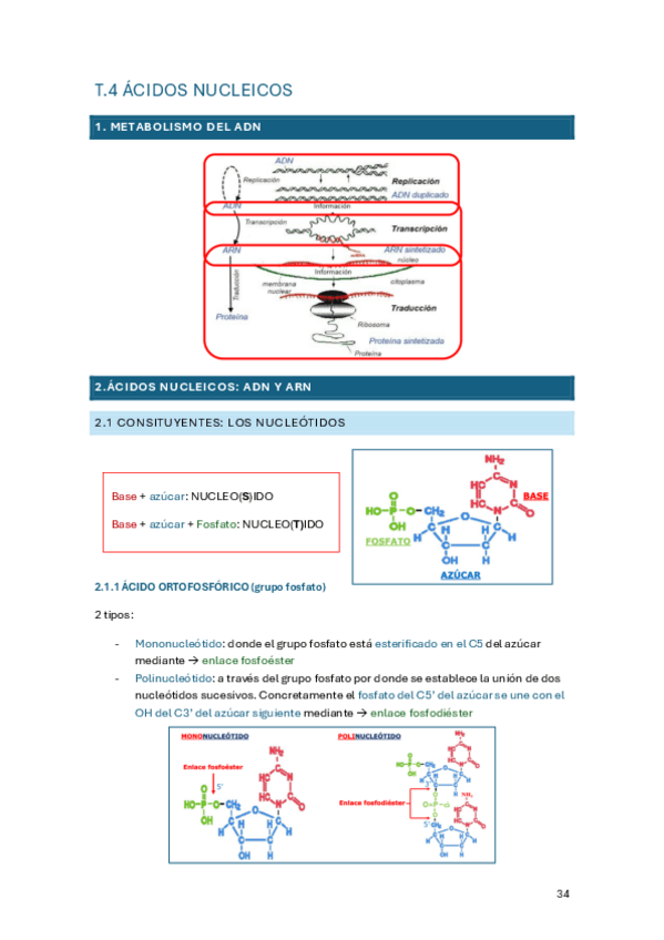 Miniatura del documento tema-4.pdf