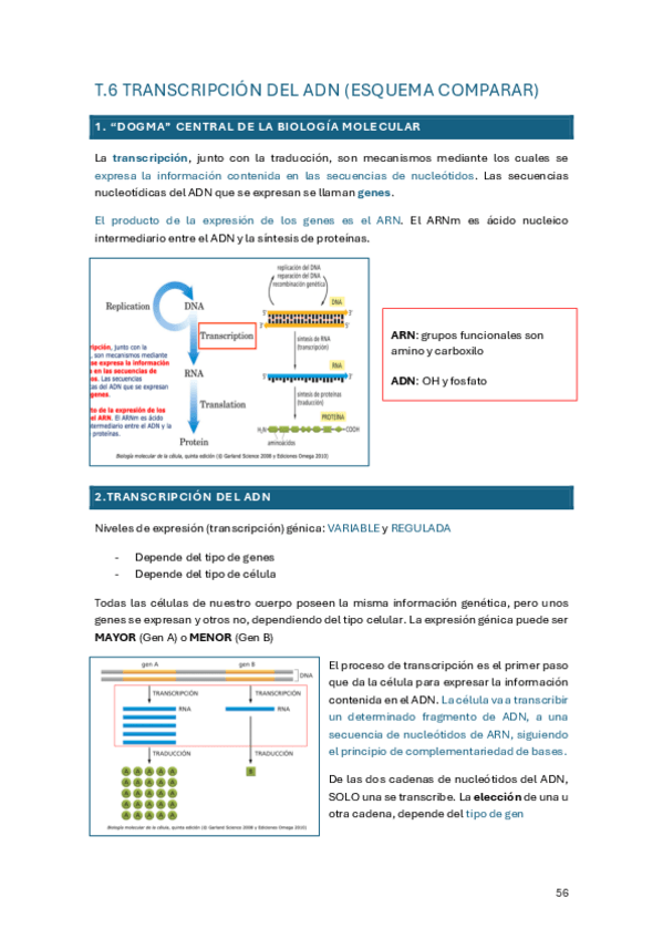 Miniatura del documento Tema-6.pdf
