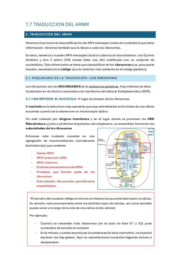 Miniatura del documento Tema-7.pdf