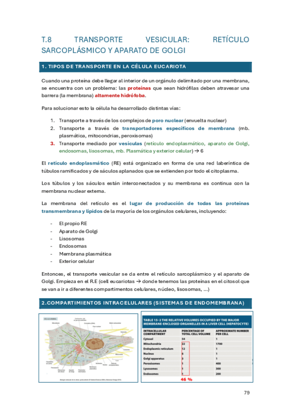 Miniatura del documento Tema-8.pdf