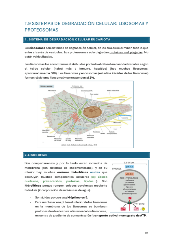 Miniatura del documento Tema-9.pdf