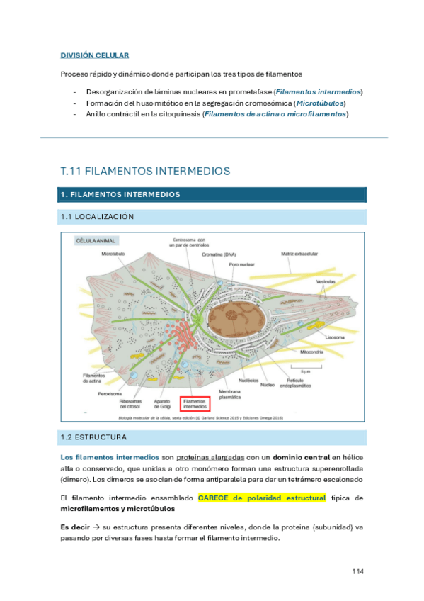 Miniatura del documento Tema-11.pdf